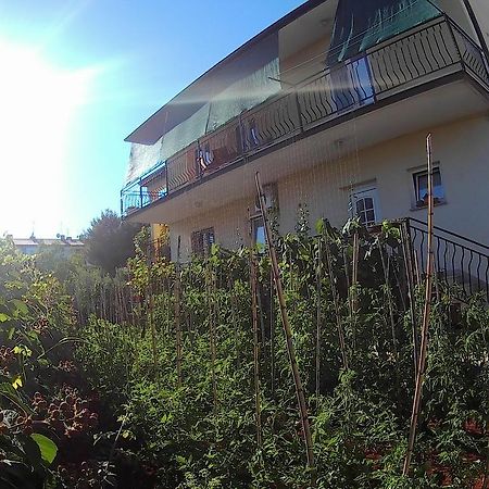 Lea Apartment Umag Exterior photo