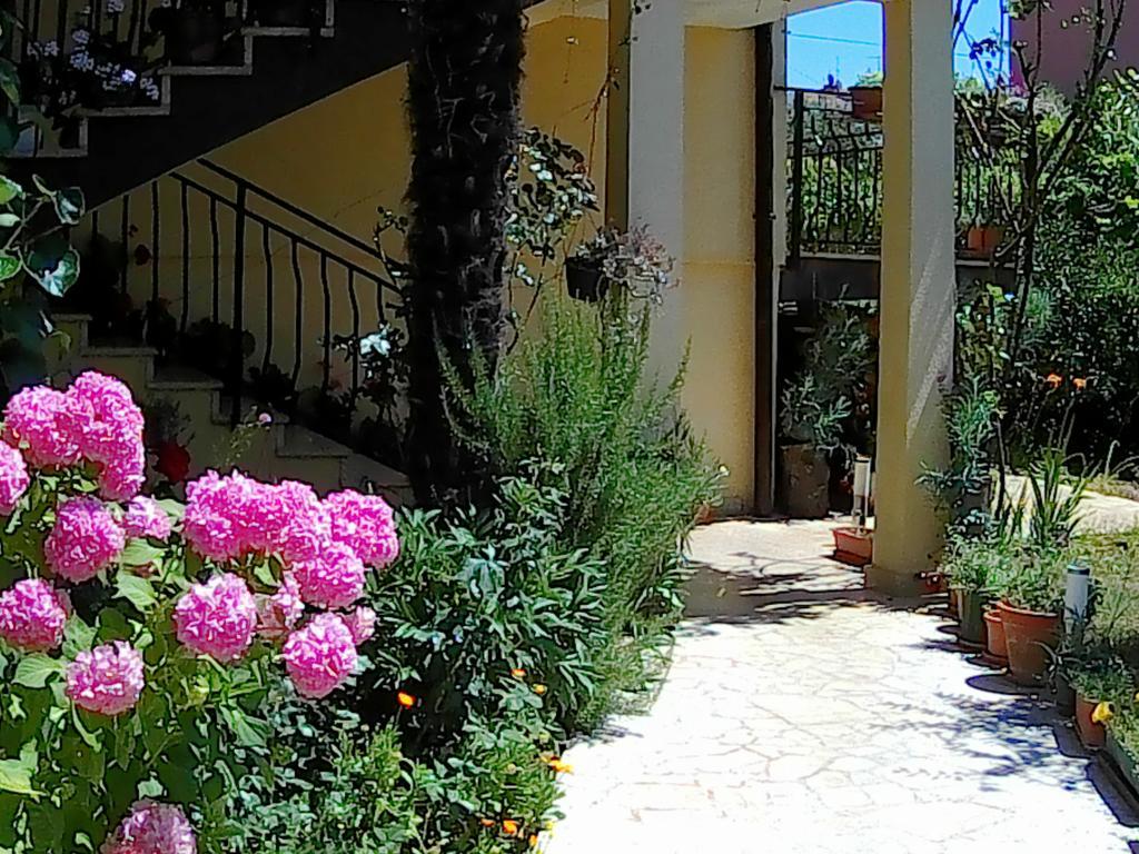 Lea Apartment Umag Exterior photo